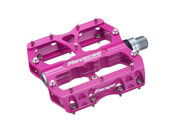 Pedal REVERSE
