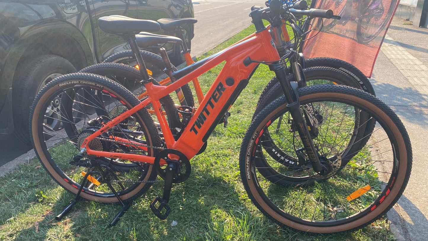 E-Bike Twitter E-300