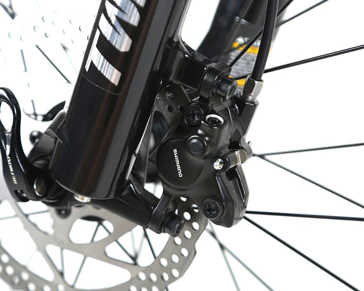 Bicicleta Twitter LEOPARD Pro 2025 Shimano Deore M6100 12S