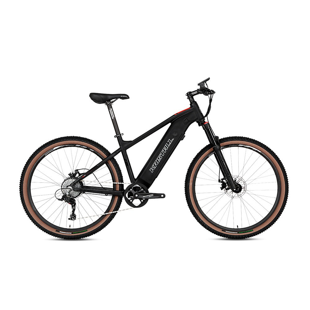 E-Bike Twitter E-300