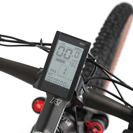 E-Bike Twitter E-300