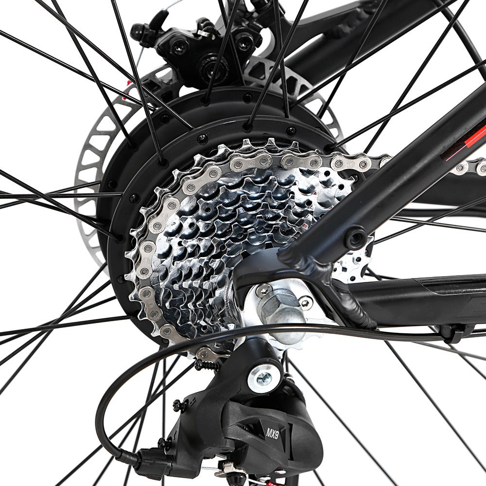 E-Bike Twitter E-300