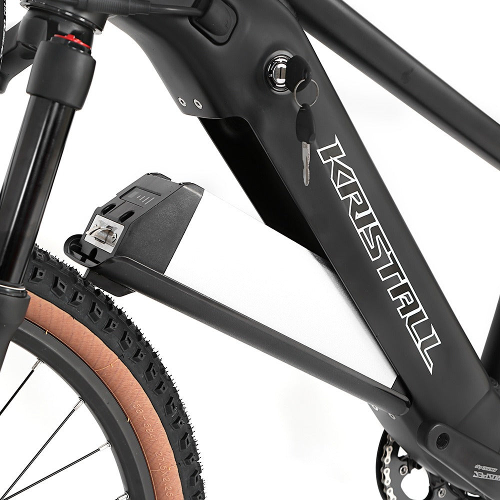 E-Bike Twitter E-300