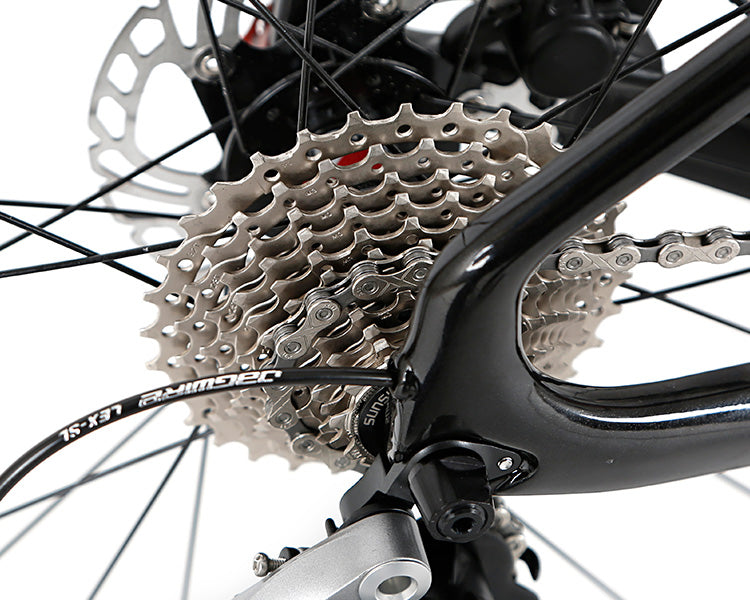 Bicicleta Carbono Twitter V-2